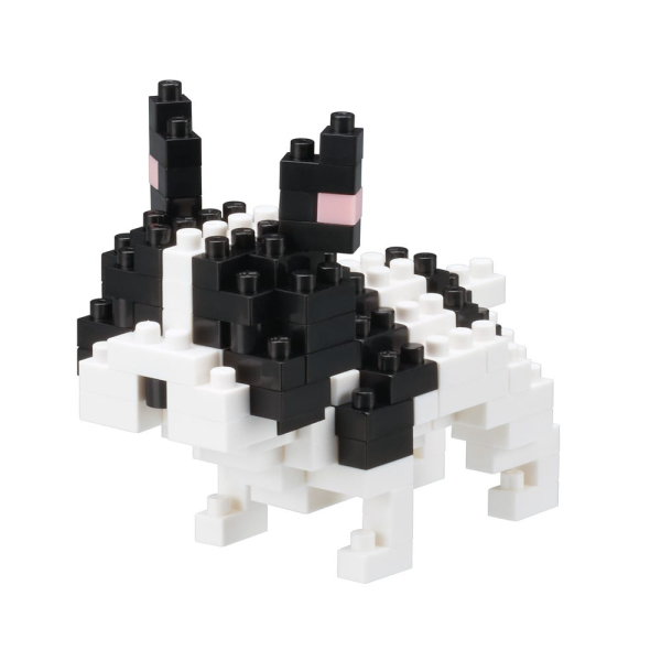 French Bulldog (Pied)