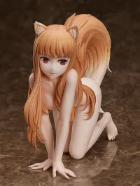 FREEing Holo - Spice and Wolf - photo 7