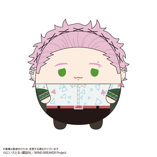WIND BREAKER FUWA KORORIN BIG (F)