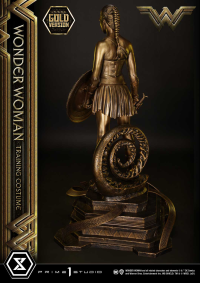 Museum Masterline Wonder Woman (Film) Wonder Woman Training Costume Gold Version 6