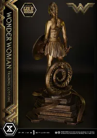 Prime 1 Studio Museum Masterline Wonder Woman (Film) Wonder Woman Training Costume Gold Version - DC Comics - photo 6