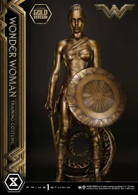 Prime 1 Studio Museum Masterline Wonder Woman (Film) Wonder Woman Training Costume Gold Version - DC Comics - photo 7