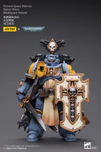 JOYTOY Primaris Space Marines Space Wolves Bladeguard Veteran - Warhammer 40K - photo 1