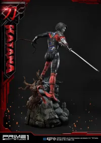 Prime 1 Studio Museum Masterline Justice League (Comics) Katana Bonus Version - DC Comics - photo 51