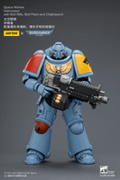 Space Wolves Intercessor with Bolt Rifle, Bolt Pistol and Chainsword 17