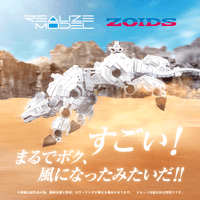 RMZ-012 Hell Cat Tirol 3