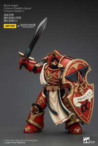 Blood Angels Crimson Paladins Squad Crimson Paladin 3 6