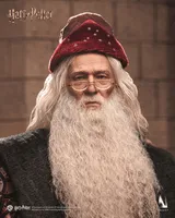 Queen Studios INART - Harry Potter and the Chamber of Secrets - Albus Dumbledore 1/6 Collectible Figure Premium Version - Harry Potter - photo 19