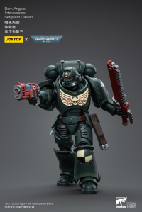 Dark Angels Intercessors Sergeant Caslan 8