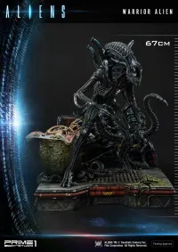 Prime 1 Studio Premium Masterline Aliens (Comics) Warrior Alien DX Bonus Version - Alien (Movie Franchise) - photo 68