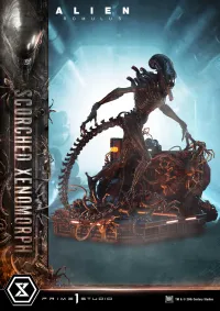 Prime 1 Studio Museum Masterline XL Alien: Romulus Scorched Xenomorph - Alien (Movie Franchise) - photo 25