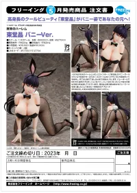 FREEing Akira Todo: Bunny Ver. - World's End Harem - photo 7