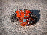 AQUACULTURE TANK 008: Fiddler Crab (Silver Red) 5