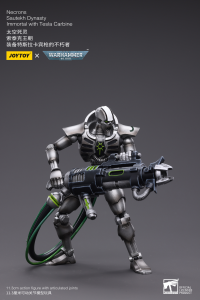 WH40K-Necrons Sautekh Dynasty Immortal with Tesla Carbine 1