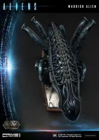 Prime 1 Studio Premium Masterline Aliens (Comics) Warrior Alien DX Bonus Version - Alien (Movie Franchise) - photo 91