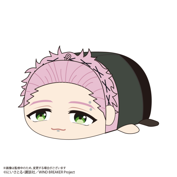 WIND BREAKER POTE KORO MASCOT BIG (F)