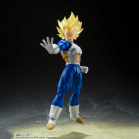 Super Saiyan Vegeta -Awakened Super Saiyan Blood- 6
