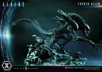Prime 1 Studio Premium Masterline Aliens (Comics) Tusked Alien Bonus Version - Alien (Movie Franchise) - photo 55