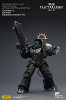Game Edition Raven Guard Heavy Intercessor with Heavy Bolt Rifle and Bolt Pistol 19