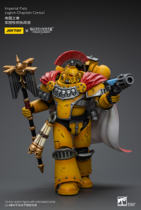 Imperial Fists Legion Chaplain Consul 4