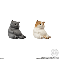 Mocchiri Kororin Cats  (Box/12), Bandai Shokugan Mocchiri Kororin 2