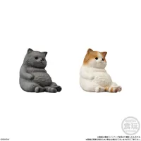 BANDAI Mocchiri Kororin Cats (Open Box/12) - Blind Boxes - photo 2
