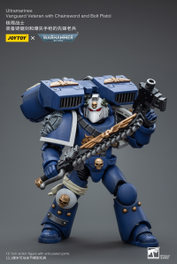 Ultramarines Vanguard Veteran with Chainsword and Bolt Pistol 6