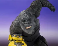 TAMASHII NATIONS SHIMO FROM GODZILLA x KONG: THE NEW EMPIRE "GODZILLA", TAMASHII NATIONS S.H.MonsterArts - Godzilla - photo 4