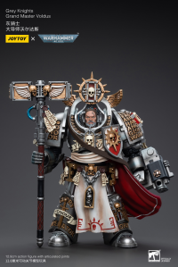 Grey Knights Grand Master Voldus 2