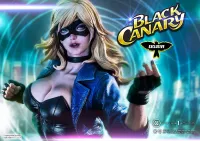 Prime 1 Studio Museum Masterline DC Comics Black Canary EX Bonus Version - DC Comics - photo 51
