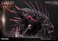 Prime 1 Studio Premium Masterline Aliens (Comics) Rogue Alien Battle Diorama EX Version - Alien (Movie Franchise) - photo 66