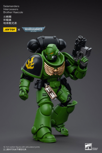 Salamanders Intercessors Brother Haecule 6