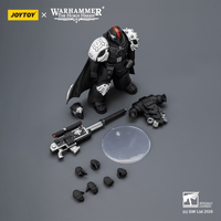 Raven Guard Mor Deythan Shade with Nemesis bolt rifle 6