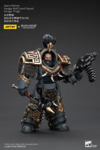 JOYTOY Space Wolves Varagyr Wolf Guard Squad Varagyr Thegn - Warhammer 40K - photo 8