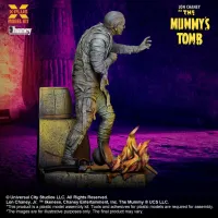 X-PLUS 1/8 Scale Lon Chaney, Jr. as Mummy  Plastic Model Kit - The Mummy - photo 4