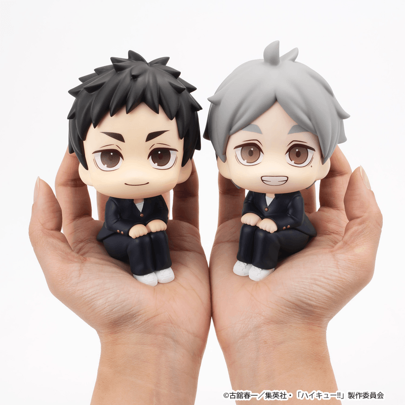 Lookup Haikyu!! Daichi Sawamura & Koushi Sugawara set 【with gift】