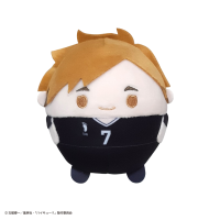 Haikyu!! FUWA KORORIN 8