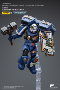 Ultramarines Vanguard Veteran with Thunder Hammer and Storm Shield 2
