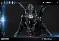 Prime 1 Studio Premium Masterline Aliens (Comics) Warrior Alien DX Bonus Version - Alien (Movie Franchise) - photo 14