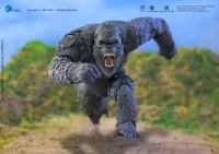 HIYA TOYS Exquisite Basic Series GODXILLA x KONG THE NEW EMPIRE Kong - Godzilla - photo 14