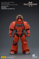 Game Edition Blood Angels Heavy Intercessor with Heavy Bolt Rifle and Bolt Pistol 12