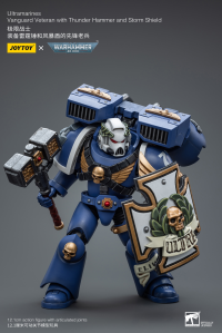 Ultramarines Vanguard Veteran with Thunder Hammer and Storm Shield 6