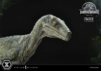 Prime Collectible Figures Jurassic World (Film) Charlie 12