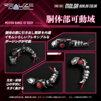 RMZ-005 Molga Guylos Color 6