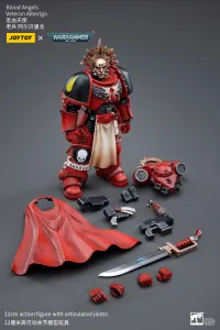 JOYTOY Blood Angels Veteran Alberigo - Warhammer 40K - photo 6
