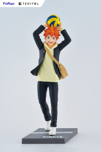 TENITOL HINATA SHOYO 7