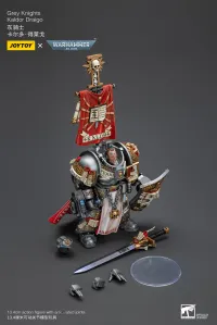 JOYTOY Grey Knights Kaldor Draigo - Warhammer 40K - photo 9