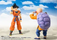 TAMASHII NATIONS Son Goku -A Saiyan Raised On Earth- Dragon Ball Z, TAMASHII NATIONS S.H.Figuarts - Dragon Ball Z - photo 4