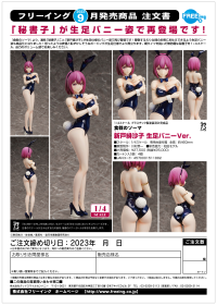 Hisako Arato: Bare Leg Bunny Ver. 10