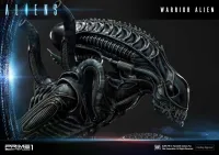 Prime 1 Studio Premium Masterline Aliens (Comics) Warrior Alien DX Bonus Version - Alien (Movie Franchise) - photo 17